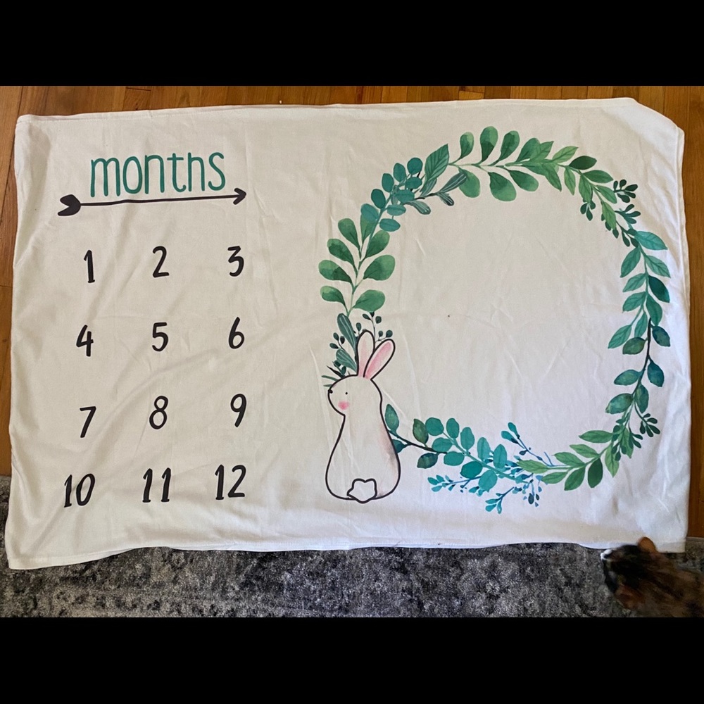 milestone baby blanket